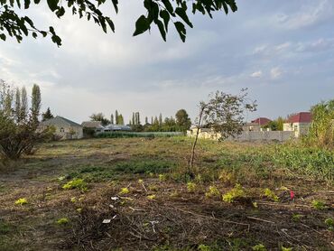 xacmaz torpaq satilir: 40 sot, Biznes üçün, Mülkiyyətçi, Kupça (Çıxarış)