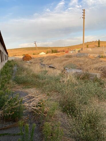 Продажа участков: 100 соток, Красная книга — 2