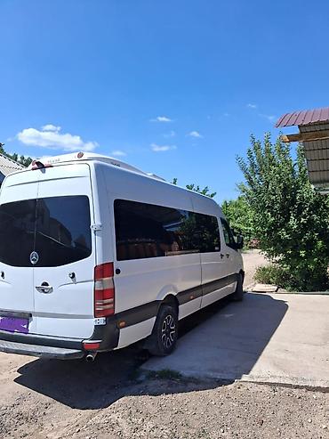Пассажирский бус на заказ: Бус на заказ Спринтер на заказ Ысык Кол Чолпон Ата Бостери туда и — 18