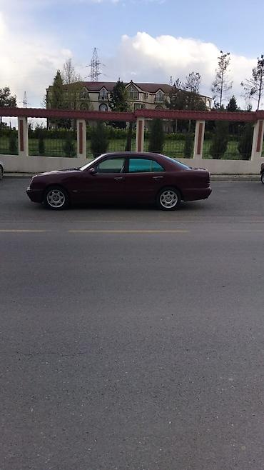 фольксваген поло л с: Mercedes-Benz E-Class sedan (W210), tünd bordo rəng. - Kuzov: 4 qapılı — 5