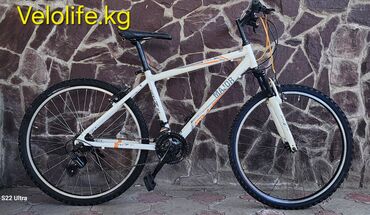 chekanka lev: Велосипед Major, Привозные из Кореи, Размер Колеса 26, Размер Рамы