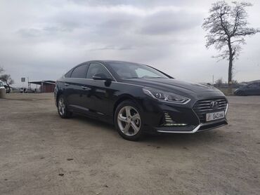 черный hyundai: Hyundai Sonata: 2017 г., 2 л, Автомат, Газ, Седан