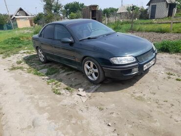исфана опел: Opel Omega: 1998 г., 2 л, Автомат, Бензин