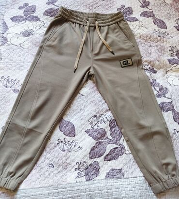 мужские штаны галифе: Брюки XL (EU 42)