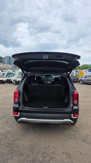 palisade: Hyundai Palisade: 2019 г., Кроссовер — 2