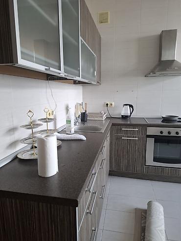 Долгосрочная аренда квартир: 3 комнаты, С мебелью полностью — 2