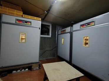 İnkubatorlar: 5000 yumurta, Azərbaycan, Tam avtomat, Bütün növ quşlaq üçün, Zəmanət ilə — 10