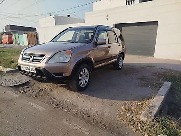 honda adv: Honda CR-V: 2002 г., 2.4 л, Автомат, Бензин, Кроссовер — 1
