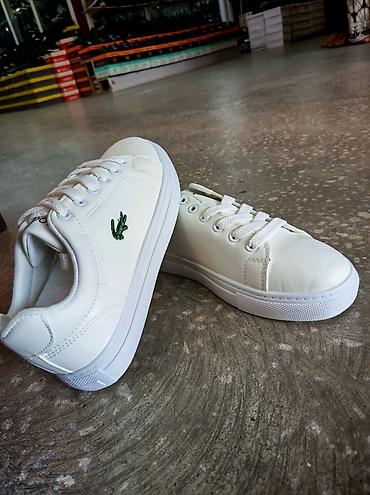 lacoste saat: Real alıcıya endirm olacaq ölçü hər razmeri var orginal türk malıdır — 2