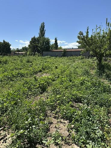 1 bedroom: 8 соток, Для строительства — 2
