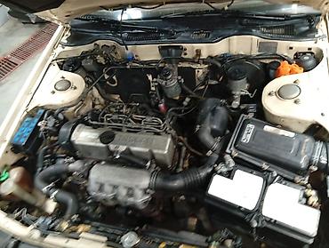 жук жабан: Nissan Bluebird: 1990 г., 2 л, Дизель, Лифтбек — 5