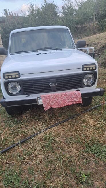 ваза стеклянная прозрачная высокая без узора: VAZ (LADA) 4x4 Niva: 1.6 l | 1986 il 1 km Sedan
