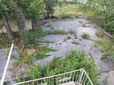 Torpaq sahələrinin satışı: 30 sot, Kənd təsərrüfatı, Mülkiyyətçi, Kupça (Çıxarış) — 8