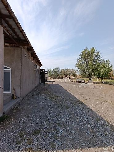 Продажа коттеджей и домов: Продается дом, 5 комнат, 49 СОТОК 📌В селе Беловодское продается — 18