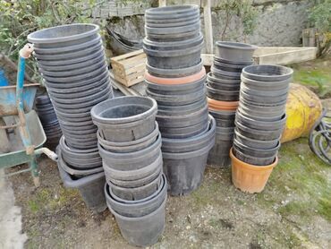 цветная бумага, картон и альбомы: METAK Bağ və ya uşaq bağçası üçün plastik çiçək qabları dəsti.100eded