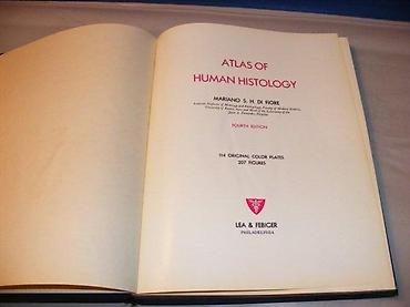 lanane: Atlas of Human Histology: Mariano S. H. Di Fiore114 original color — 2