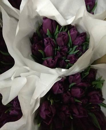 Букеты из живых цветов: Цветы Голландские Тюльпаны Оптом! Тюльпаны вместе с луковицами — 4