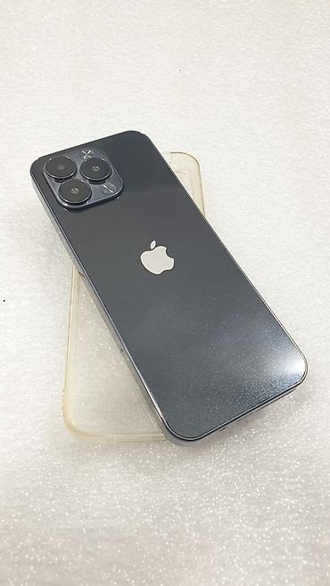 Apple iPhone: IPhone 13 Pro, Б/у, < 16 ГБ, Черный, Чехол, 100 % — 10