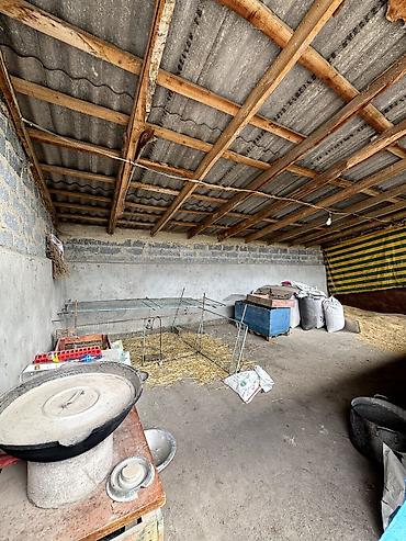 Продажа коттеджей и домов: 4 комнаты, 136 м², 40 соток, Петровка — 22