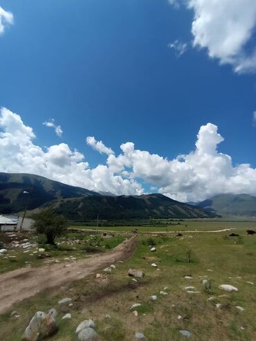 Продажа участков: 30 соток, Для бизнеса, Тех паспорт — 8