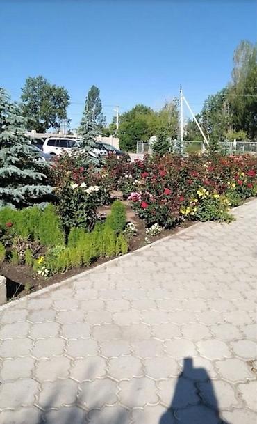 Продажа коттеджей и домов: Просторный таунхаус, расположенный в жилом комплексе с ухоженными — 9