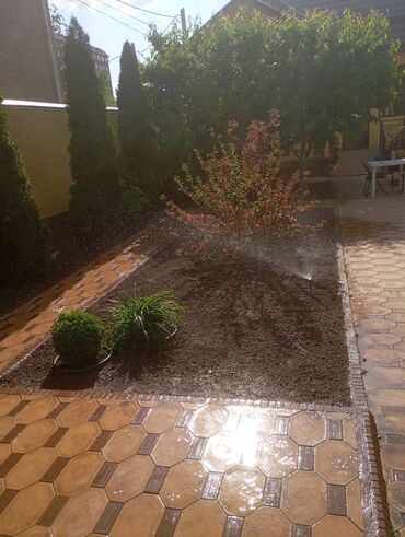 Газон: Газон и Автополив жасайбыз баасы келишим турдо болот! — 11