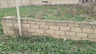 samaxida ev satisi: Ucuz 6+6 sot Korgözdə (Qaradağ ray) torpaq satılır — 3