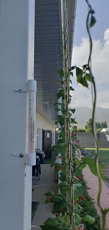 Иссык-Куль 2026: Койко-место at lalafo.kg — 12 Иссык-Куль 2026: Койко-место — 12