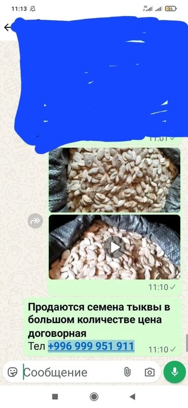 офисные шкафы: Тыквенные семечки, очищенные от мякоти, расфасованы в большие мешки