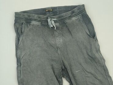 Trousers: Shorts for men, L (EU 40), condition - Good