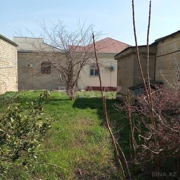 Torpaq sahələrinin satışı: 16 sot, Tikinti, Mülkiyyətçi, Kupça (Çıxarış) — 5