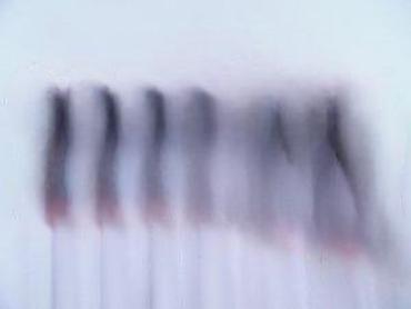 Setovi ručnog alata: GEKO set odvijača CRV – 7 delova - Set univerzalnih odvijača sa — 10