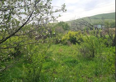 Продажа квартир: 7 соток, Красная книга