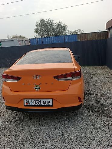 ниссан жук: Hyundai Sonata: 2019 г., 2 л, Автомат, Газ, Седан — 2
