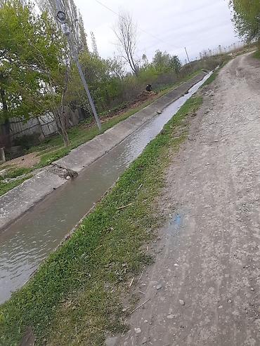 sarayda torpaq satilir: 12205 sot, Kənd təsərrüfatı, Mülkiyyətçi, Kupça (Çıxarış), Texniki pasport — 7