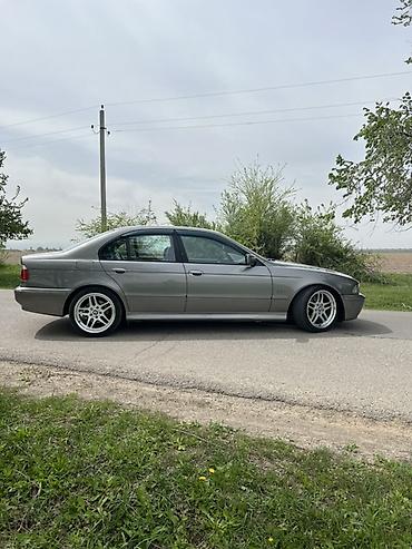 BMW: BMW 5 series: 2002 г., 2.9 л, Автомат, Дизель, Седан — 4