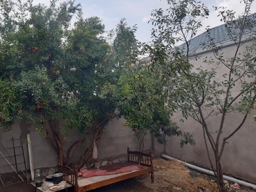 ev barteri: Поселок Бинагади 3 комнаты, 80 м², Свежий ремонт