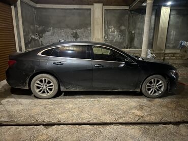 купить машину в баку в кредит: Chevrolet Malibu sedan 2016 İl Arendiya Verlir günü azn40 300-500
