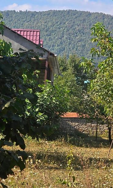 Torpaq sahələrinin satışı: 17 sot, Mülkiyyətçi, Kupça (Çıxarış) — 4