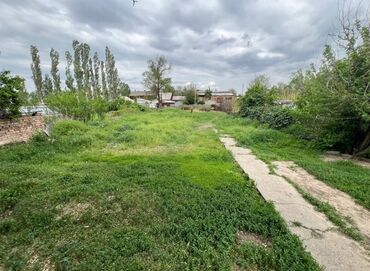 продаю участок в сокулуке: 6 соток, Для строительства, Красная книга