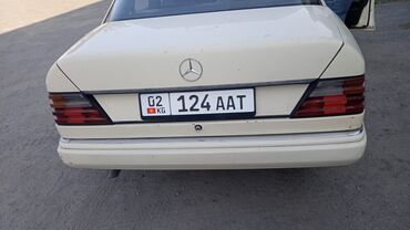 Mercedes-Benz 220: 1991 г., 2.5 л, Автомат, Дизель, Седан