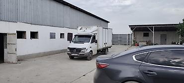 sprinter 2 2: Легкий грузовик, Mercedes-Benz, Стандарт, Б/у — 9