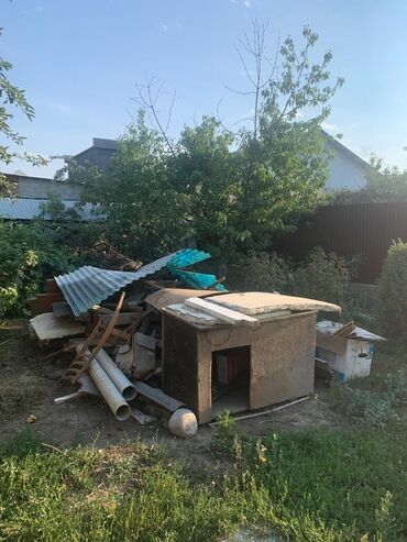 отдам телефон бесплатно: Дрова