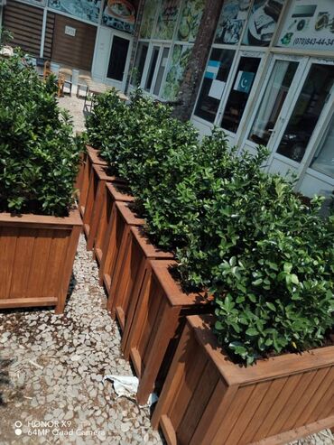 dipcek qablari: 100x30x55 dipcek Bitki elave hesablanir Bitkinin hundurluyu 60-70sm