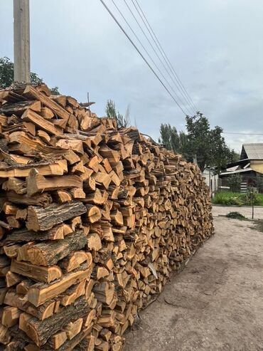 шыйпыр сена: Лиственница