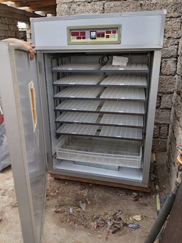 Süd sağan aparatlar: 1100 yumurta, Fabrik istehsalı, Tam avtomat