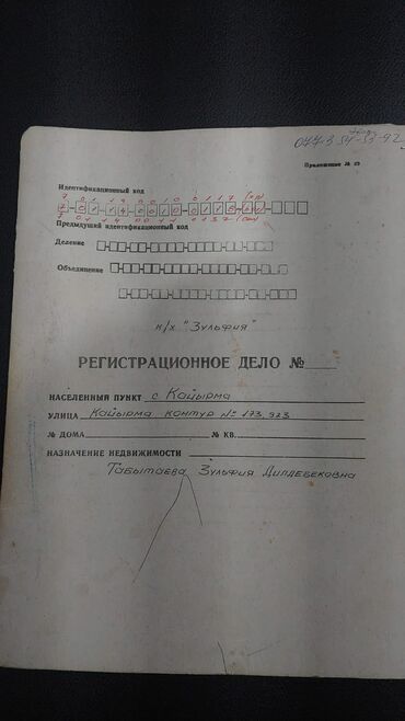 можно под ипотеку: 47 соток, Башкы ишеним кат