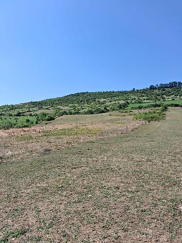 cıxarış nədir: 90 sot, Kənd təsərrüfatı, Mülkiyyətçi, Kupça (Çıxarış) — 3