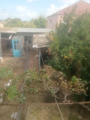 qəbələ torpaq satilir: 5 sot, Tikinti, Mülkiyyətçi, Kupça (Çıxarış) — 3