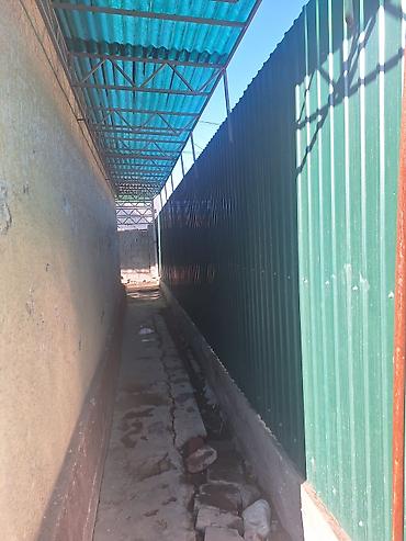 Продажа коттеджей и домов: Продаётся дом с.Нижний Ала-Арча 56 м.кв 4комн.1кухня санузел в доме — 6